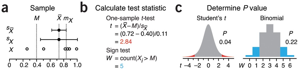 nonparametric data analysis methods in medical imaging