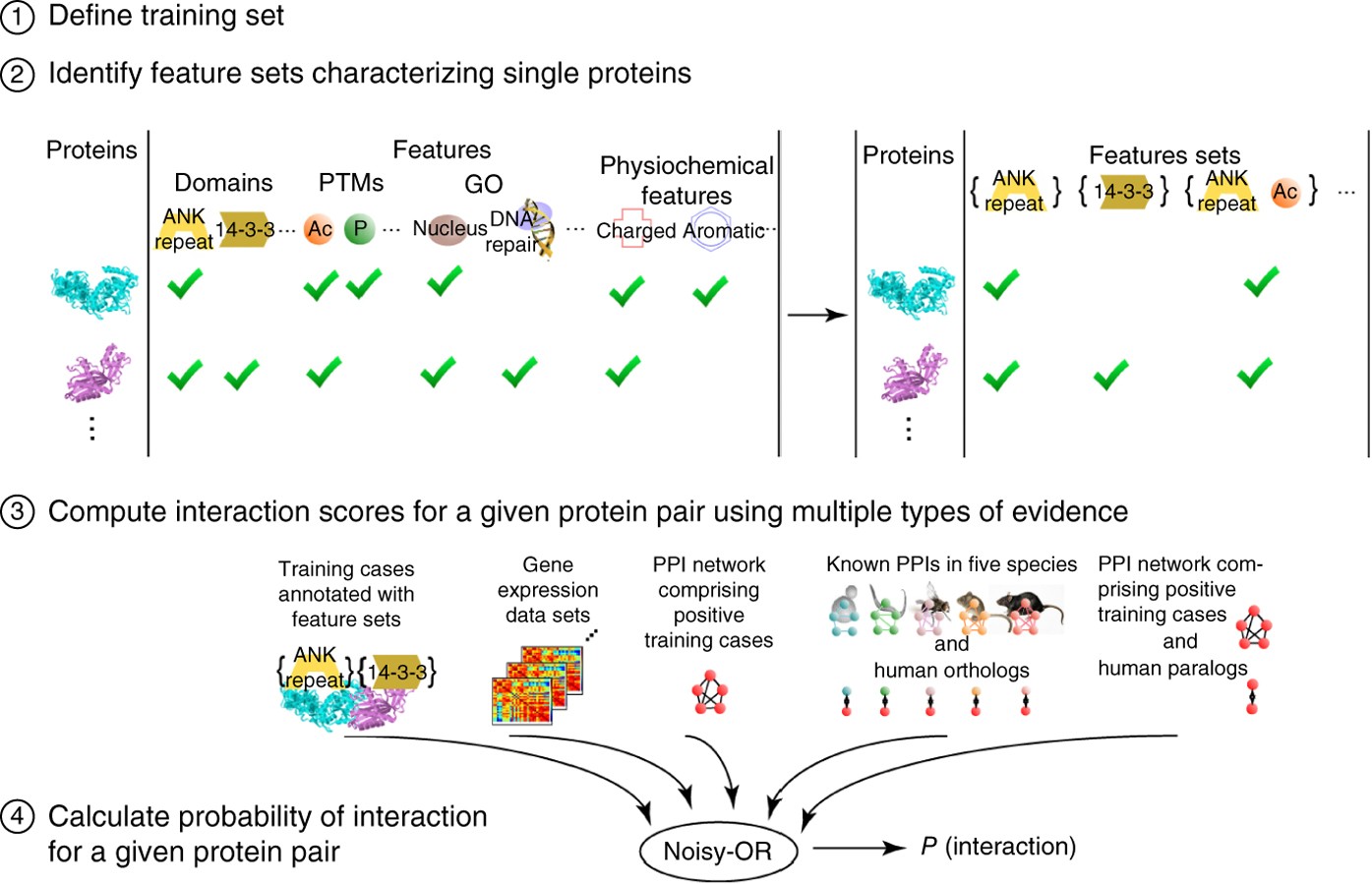 In silico prediction of physical protein interactions and characterization  of interactome orphans | Nature Methods