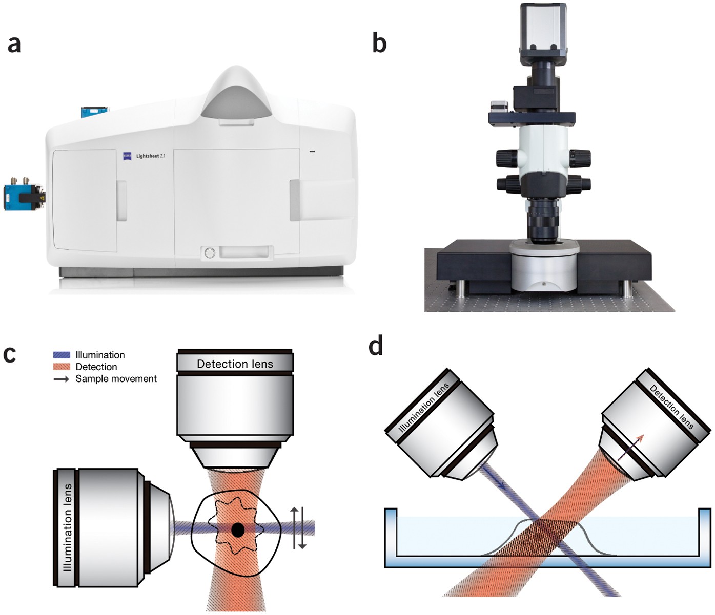 Guide to light-sheet microscopy for adventurous biologists | Nature Methods
