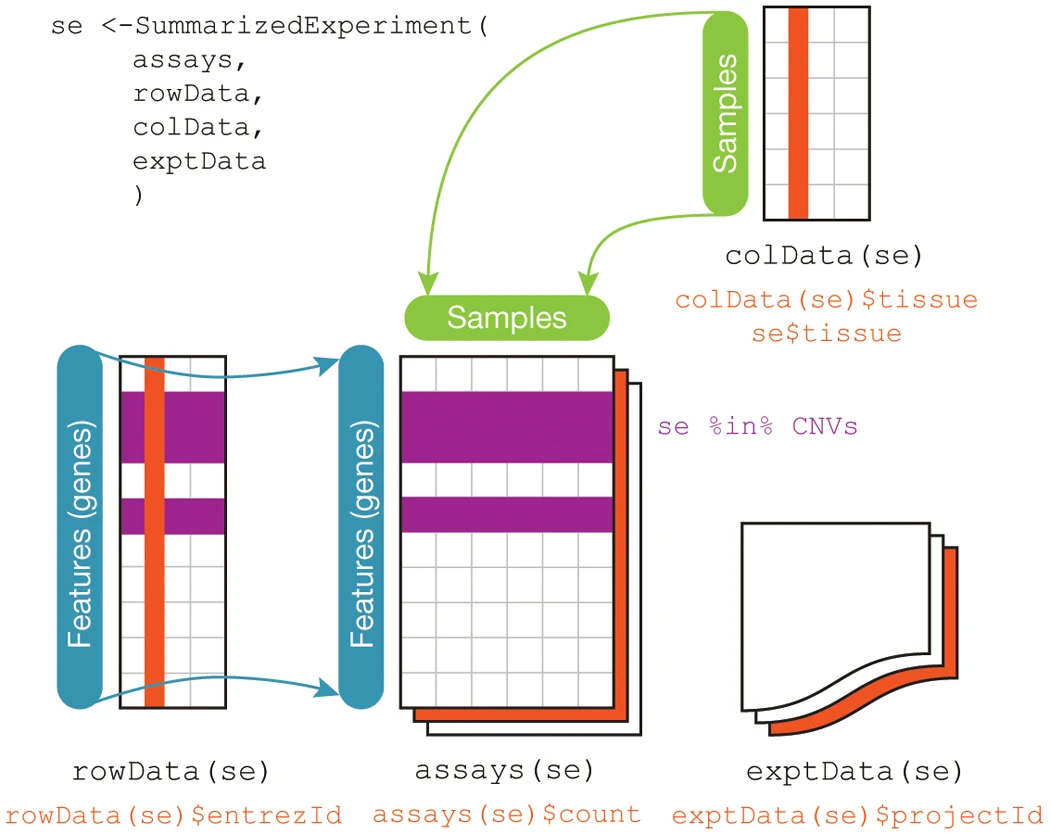 SummarizedExperiment Schematic - Huber, et al. 2015. “Orchestrating High-Throughput Genomic Analysis with Bioconductor.” Nature Methods 12 (2): 115–21.