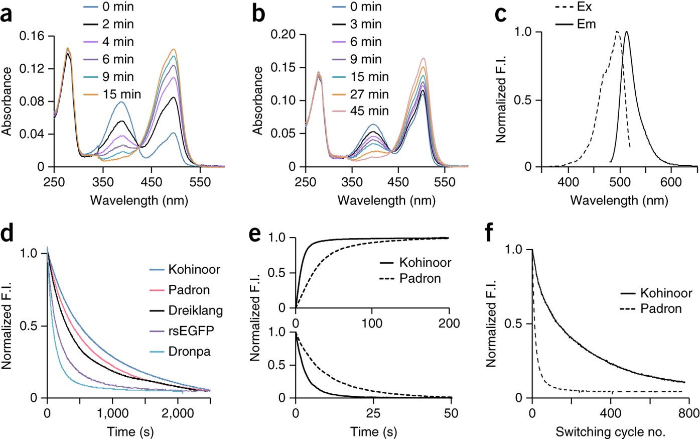 A fast- and positively photoswitchable fluorescent protein for  ultralow-laser-power RESOLFT nanoscopy | Nature Methods