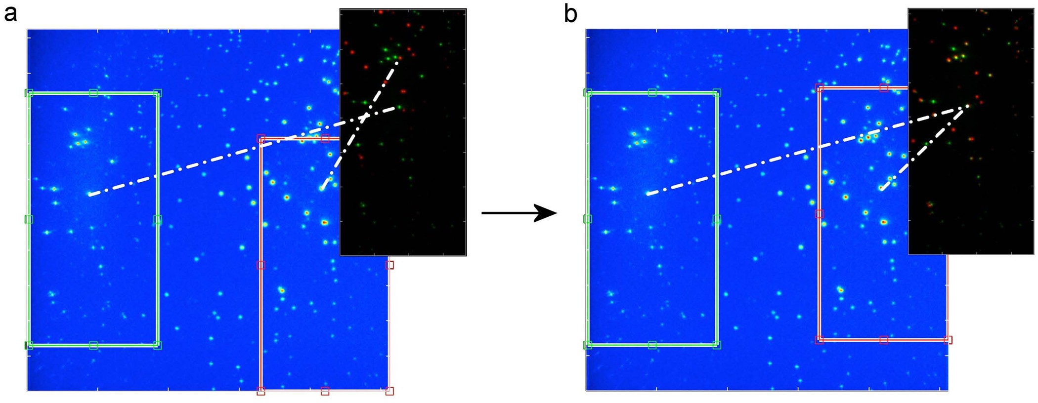 Supplementary Figure 1