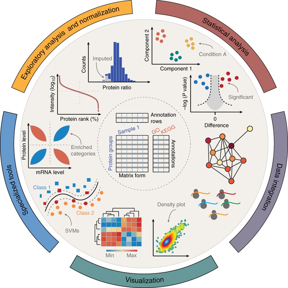 jeg er syg hegn Vejfremstillingsproces The Perseus computational platform for comprehensive analysis of  (prote)omics data | Nature Methods