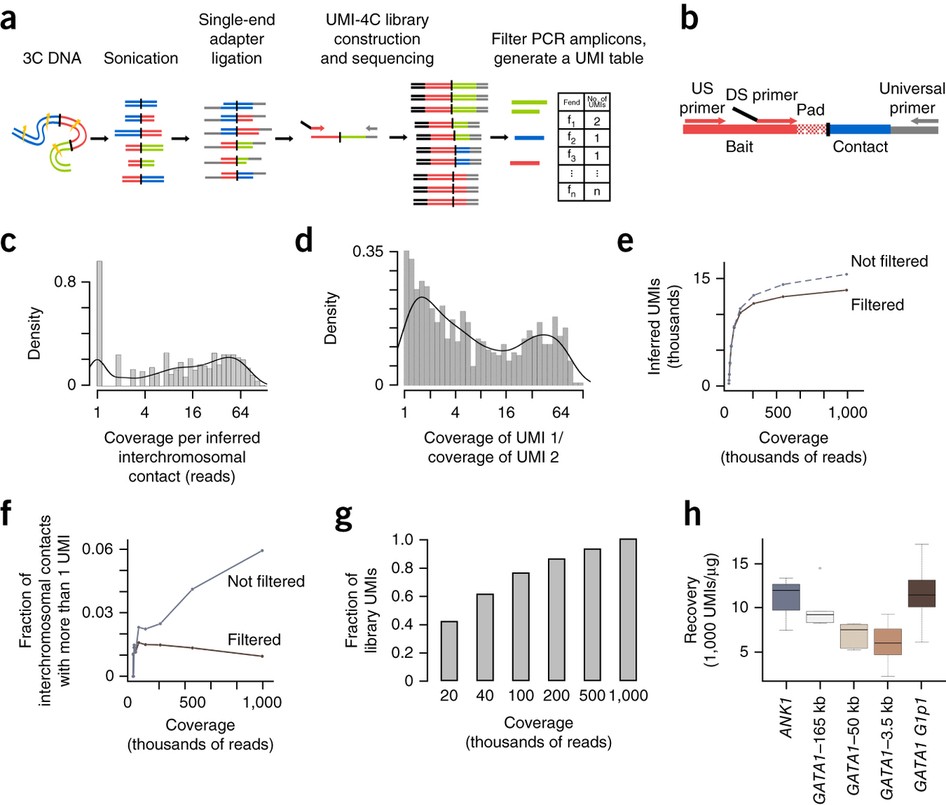Umi 4c For Quantitative And Targeted Chromosomal Contact Profiling