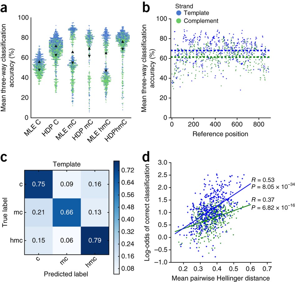 Mapping DNA methylation with high-throughput nanopore sequencing | Nature  Methods