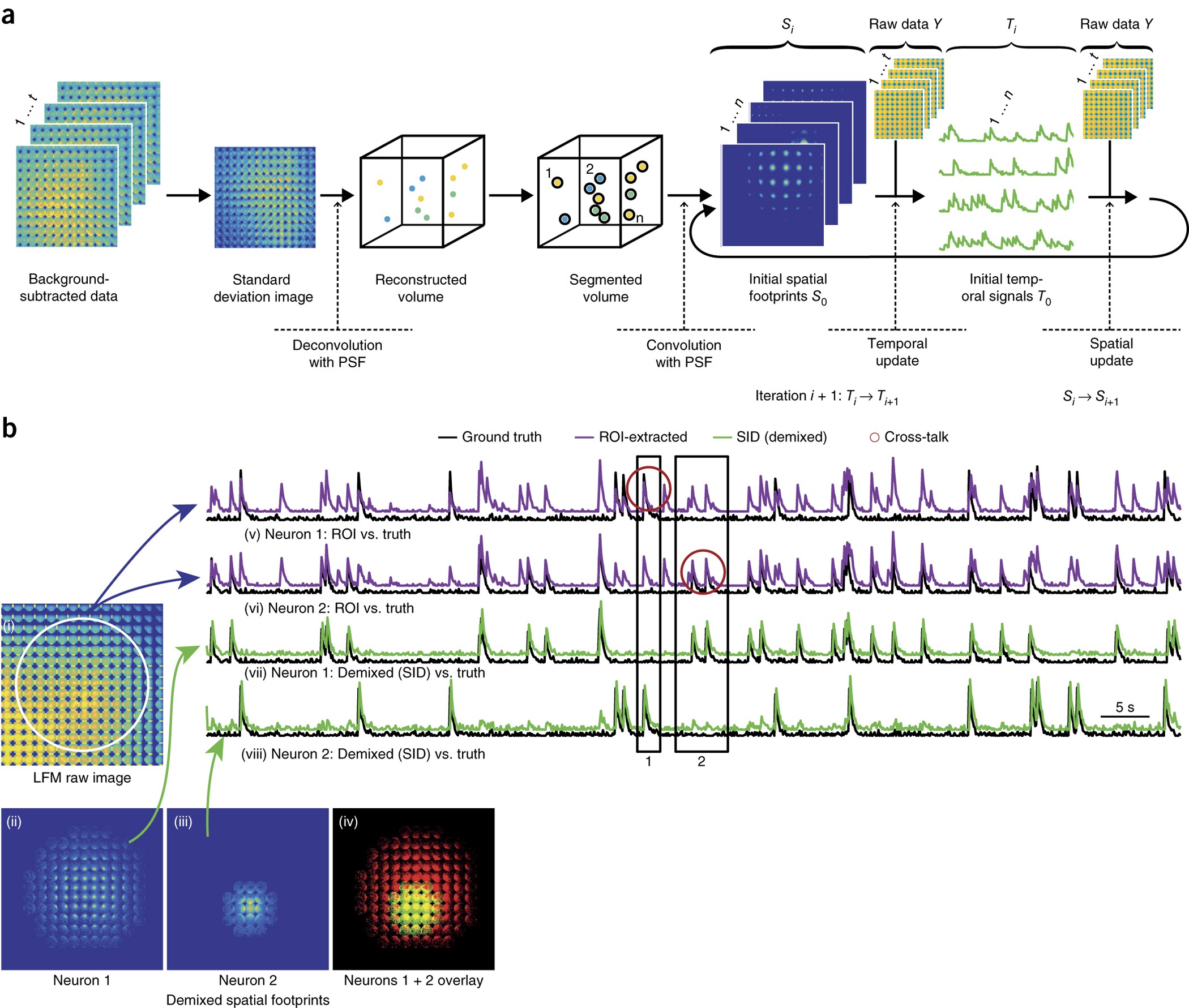 Video rate volumetric Ca2+ imaging across cortex using seeded iterative  demixing (SID) microscopy | Nature Methods