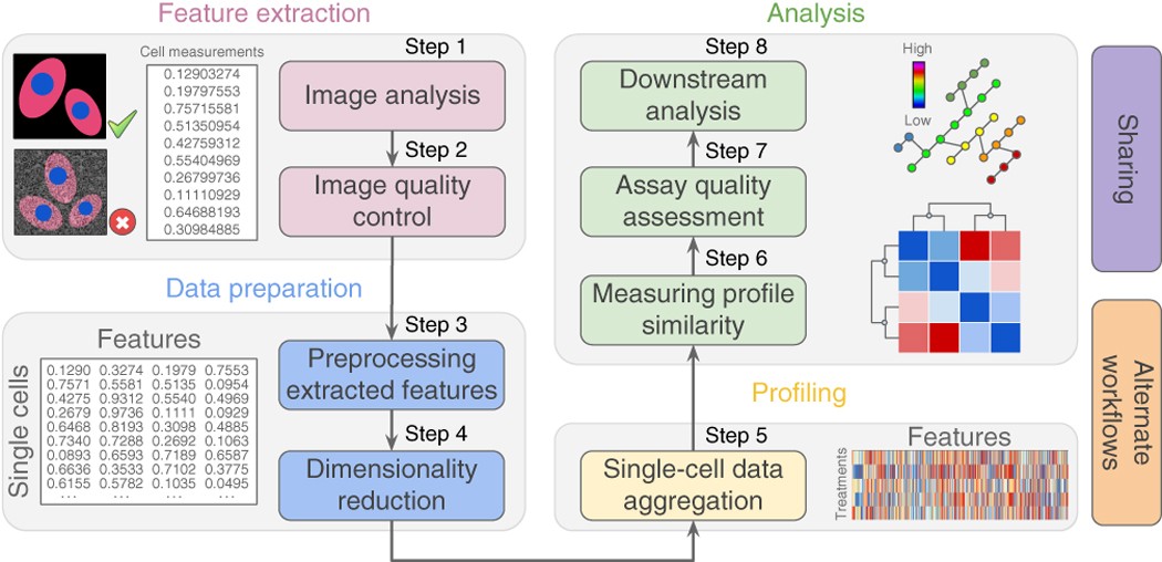Data-analysis strategies for image-based cell profiling