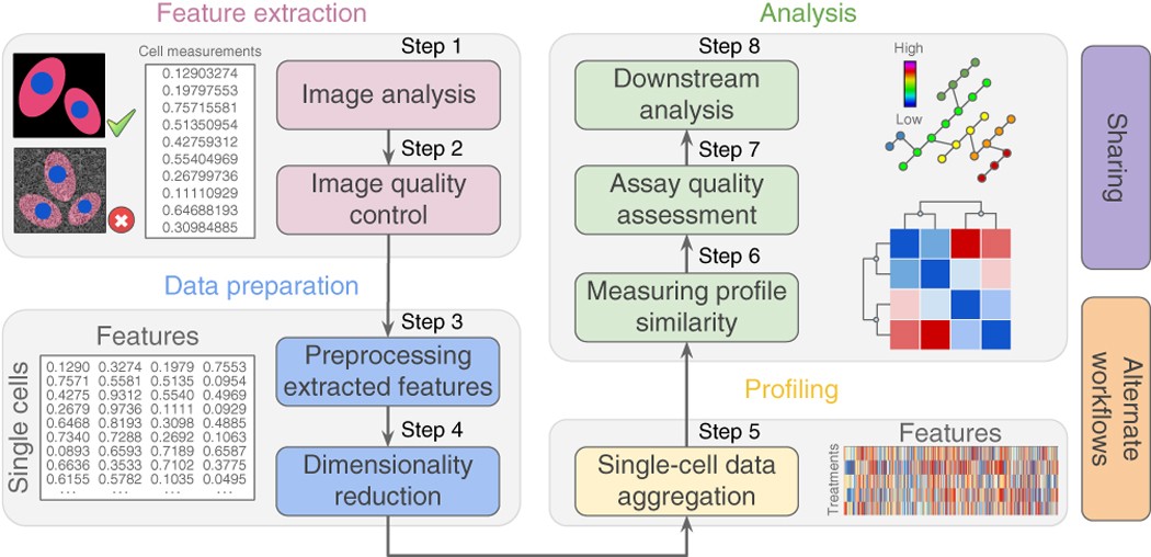 Extract and Visualize the Results of Multivariate Data Analyses