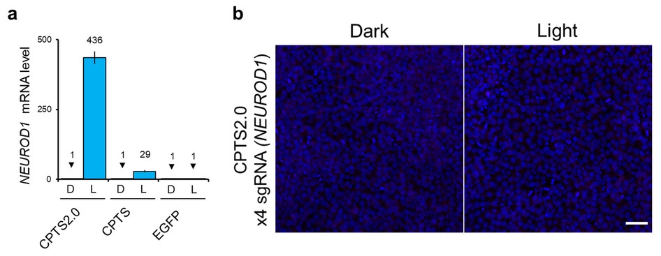 Supplementary Figure 15