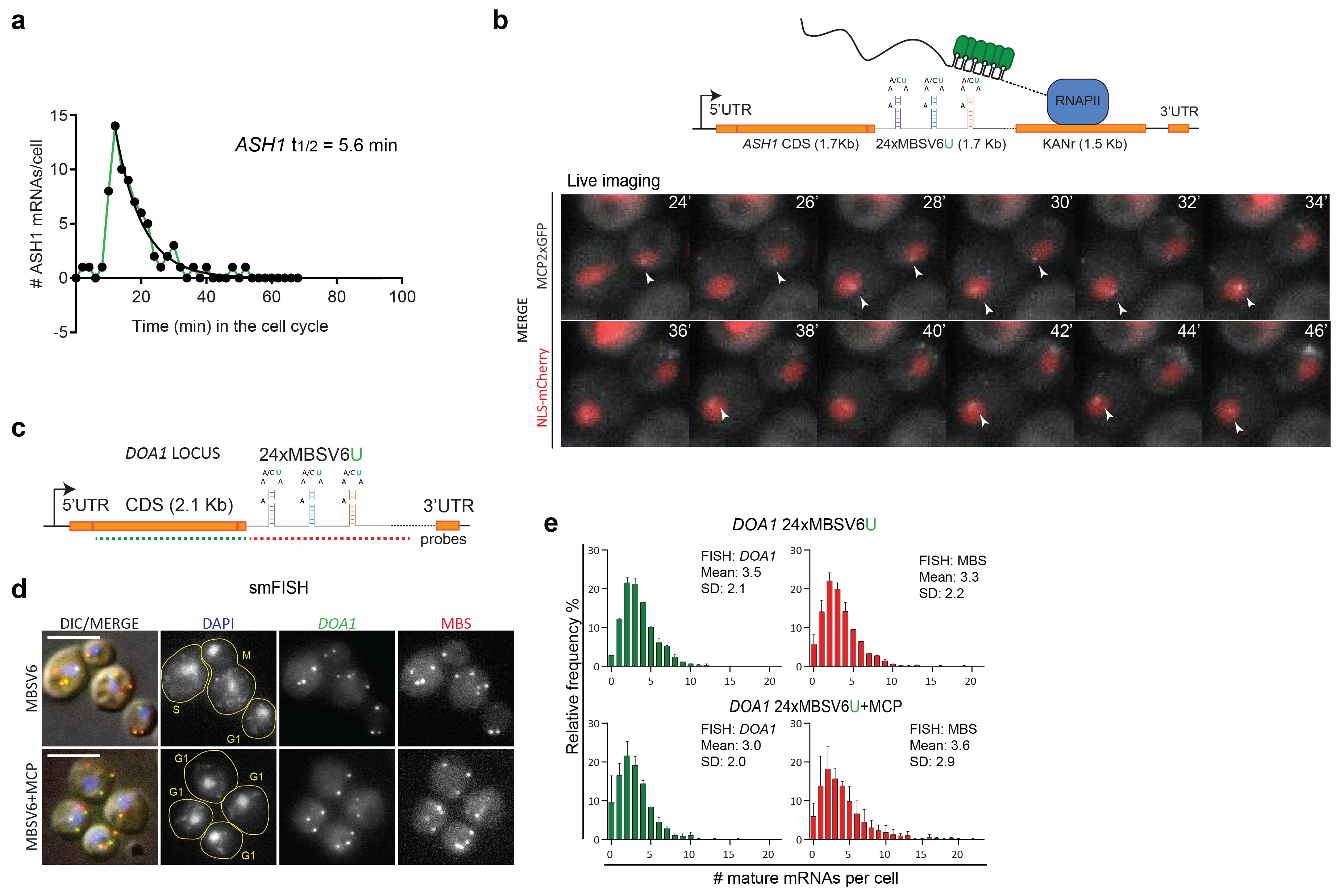 Supplementary Figure 9