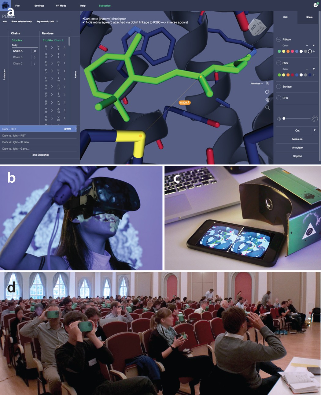 kapital Disco lægemidlet Accessible virtual reality of biomolecular structural models using the  Autodesk Molecule Viewer | Nature Methods