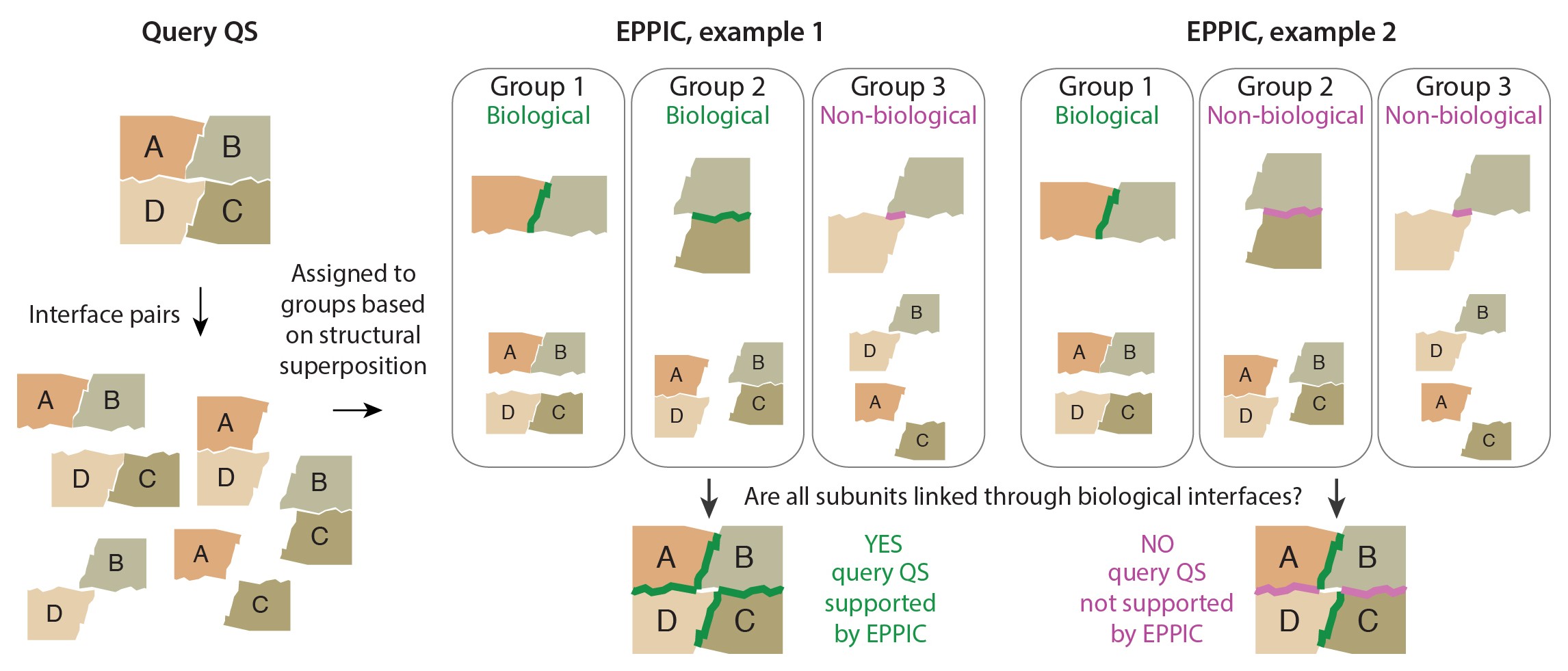 Supplementary Figure 5