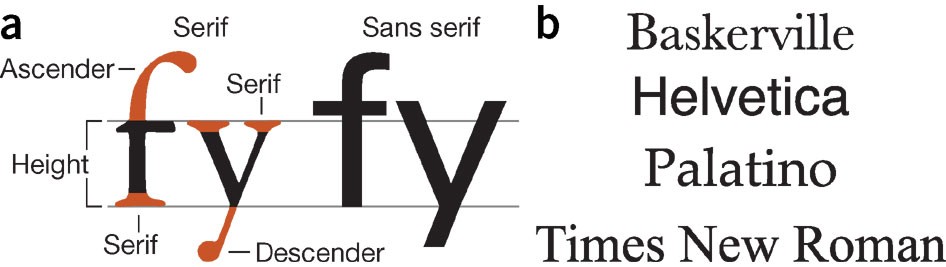 Skolar Sans – Typographica