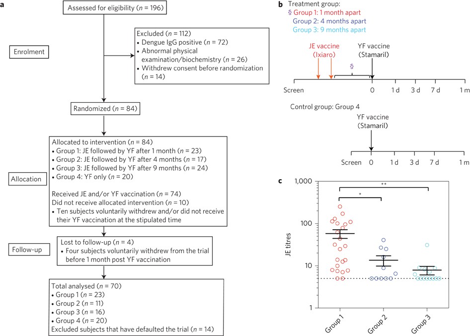 Cross-reactive antibodies enhance live attenuated virus infection for 
