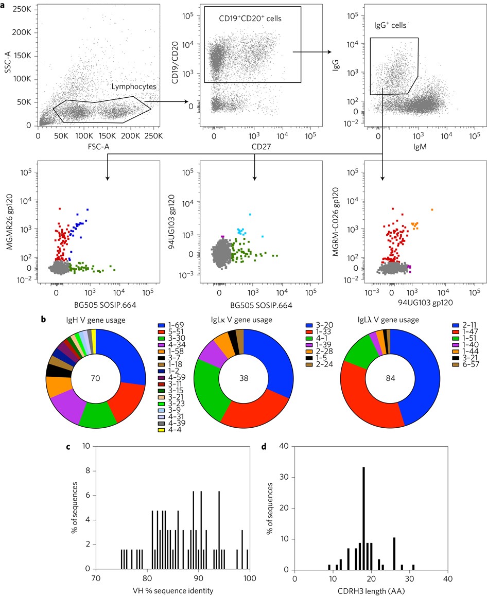 An Hiv 1 Antibody From An Elite Neutralizer Implicates The Fusion Peptide As A Site Of Vulnerability Nature Microbiology An Hiv 1 Antibody From An Elite Neutralizer Implicates The Fusion Peptide As A Site Of Vulnerability Nature Microbiology