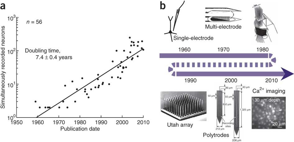 Large-scale neural recordings call for new insights to link brain and  behavior