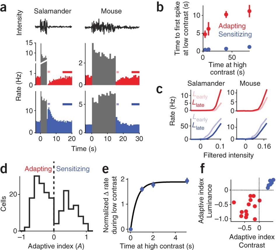 Retinal Variables for Visual Encoding – The Art of Data