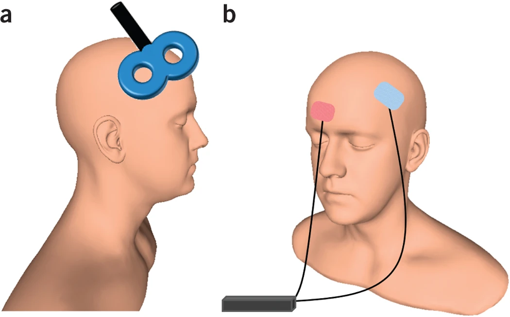 [[@Dayan2013-gp]](http://www.nature.com/neuro/journal/v16/n7/full/nn.3422.html)