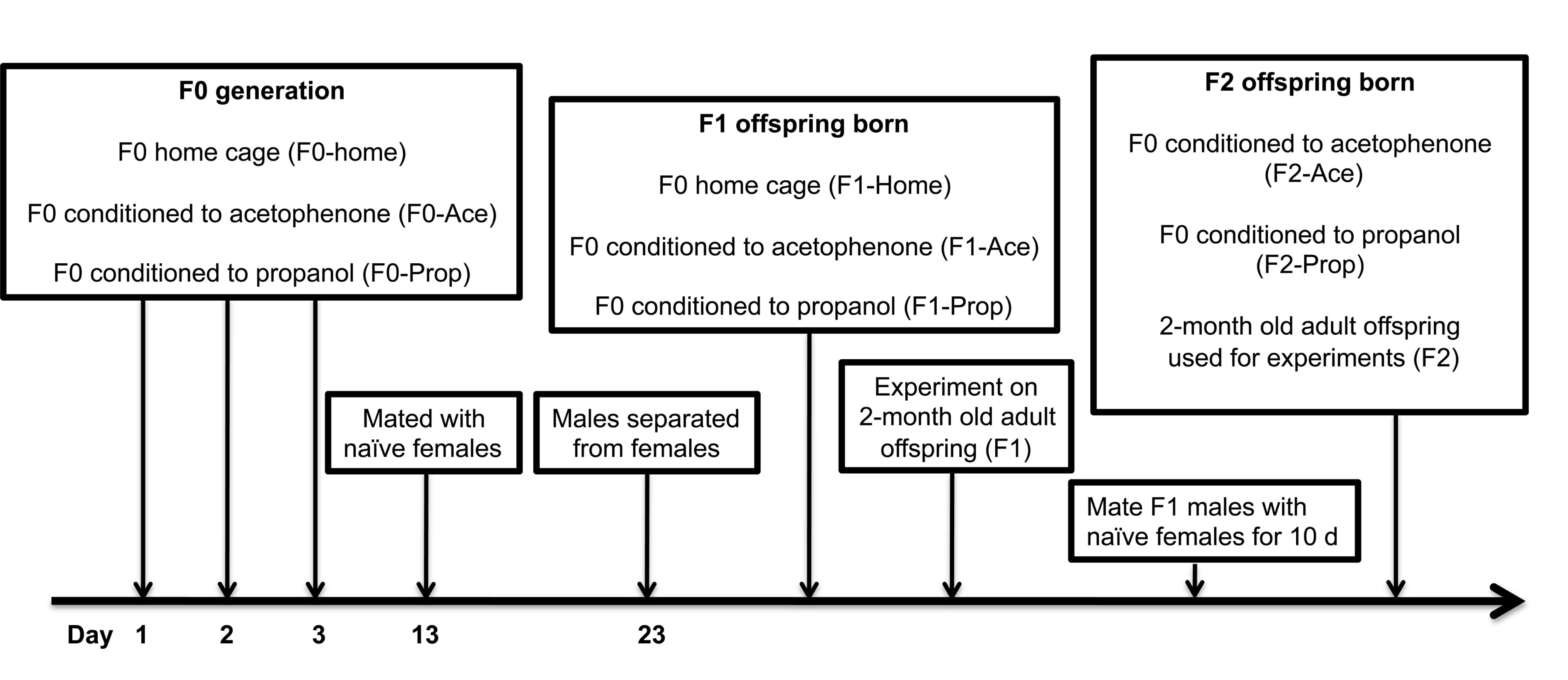 Supplementary Figure 1