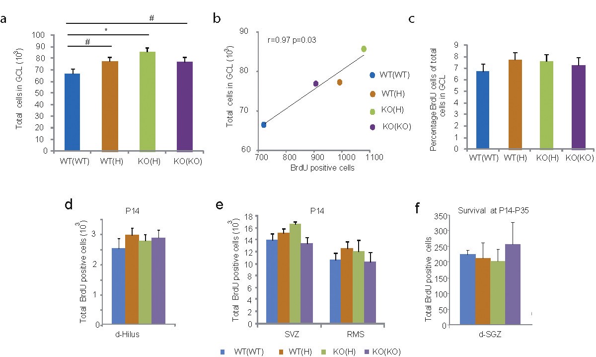Supplementary Figure 4