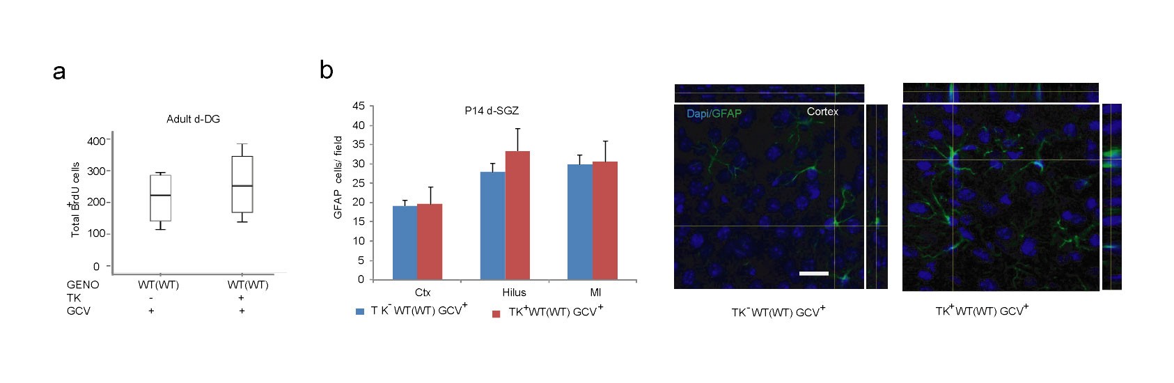 Supplementary Figure 7