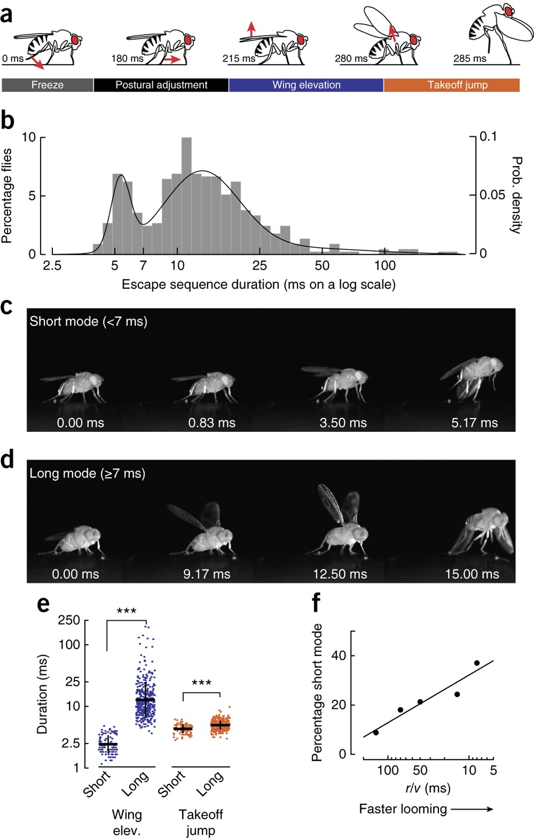 A Spike Timing Mechanism For Action Selection Nature Neuroscience
