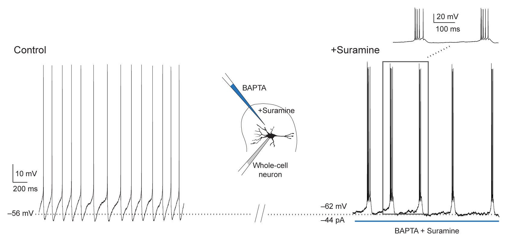 Supplementary Figure 3