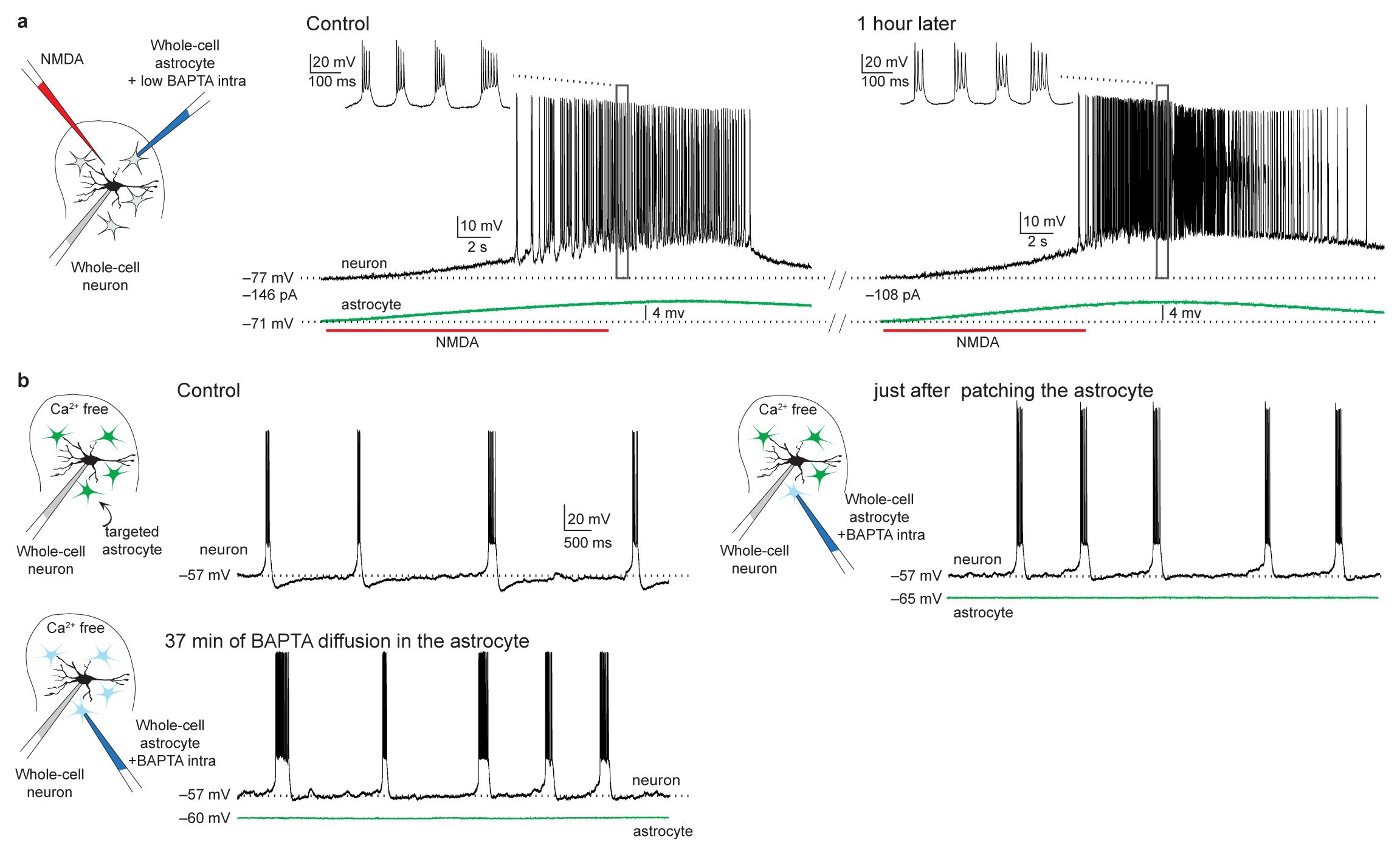 Supplementary Figure 4