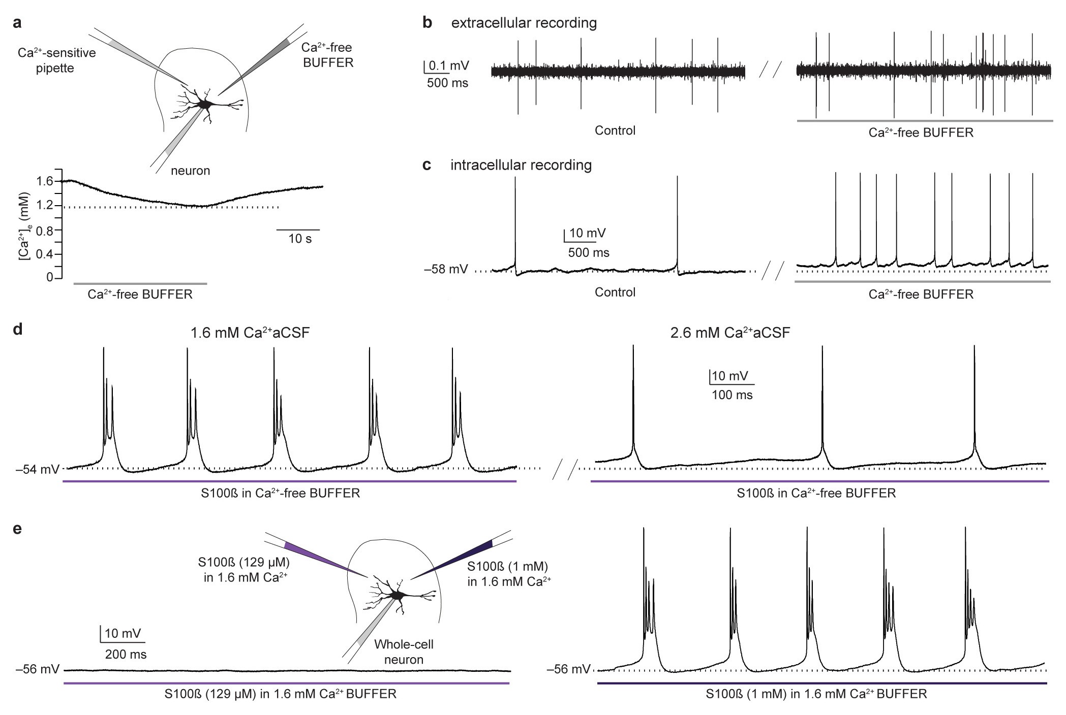 Supplementary Figure 7