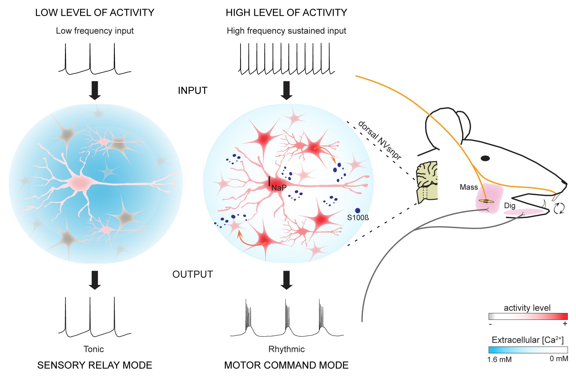 Supplementary Figure 8