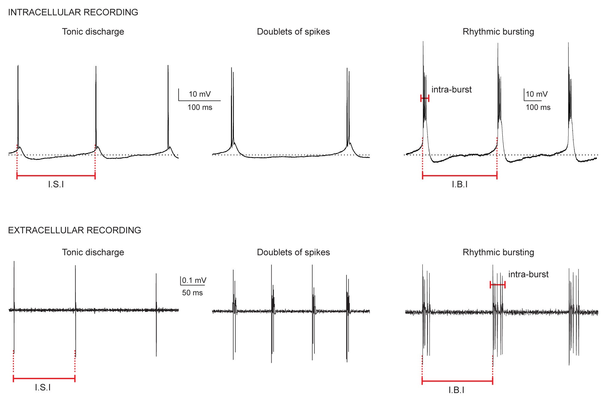 Supplementary Figure 1