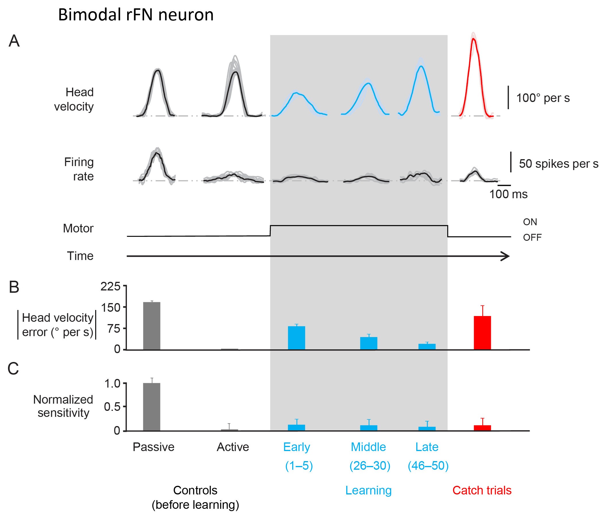Supplementary Figure 1