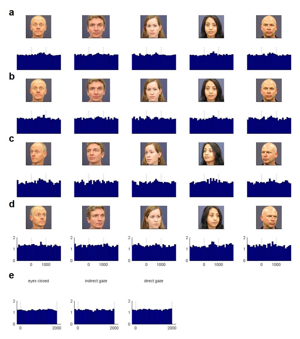 Supplementary Figure 3