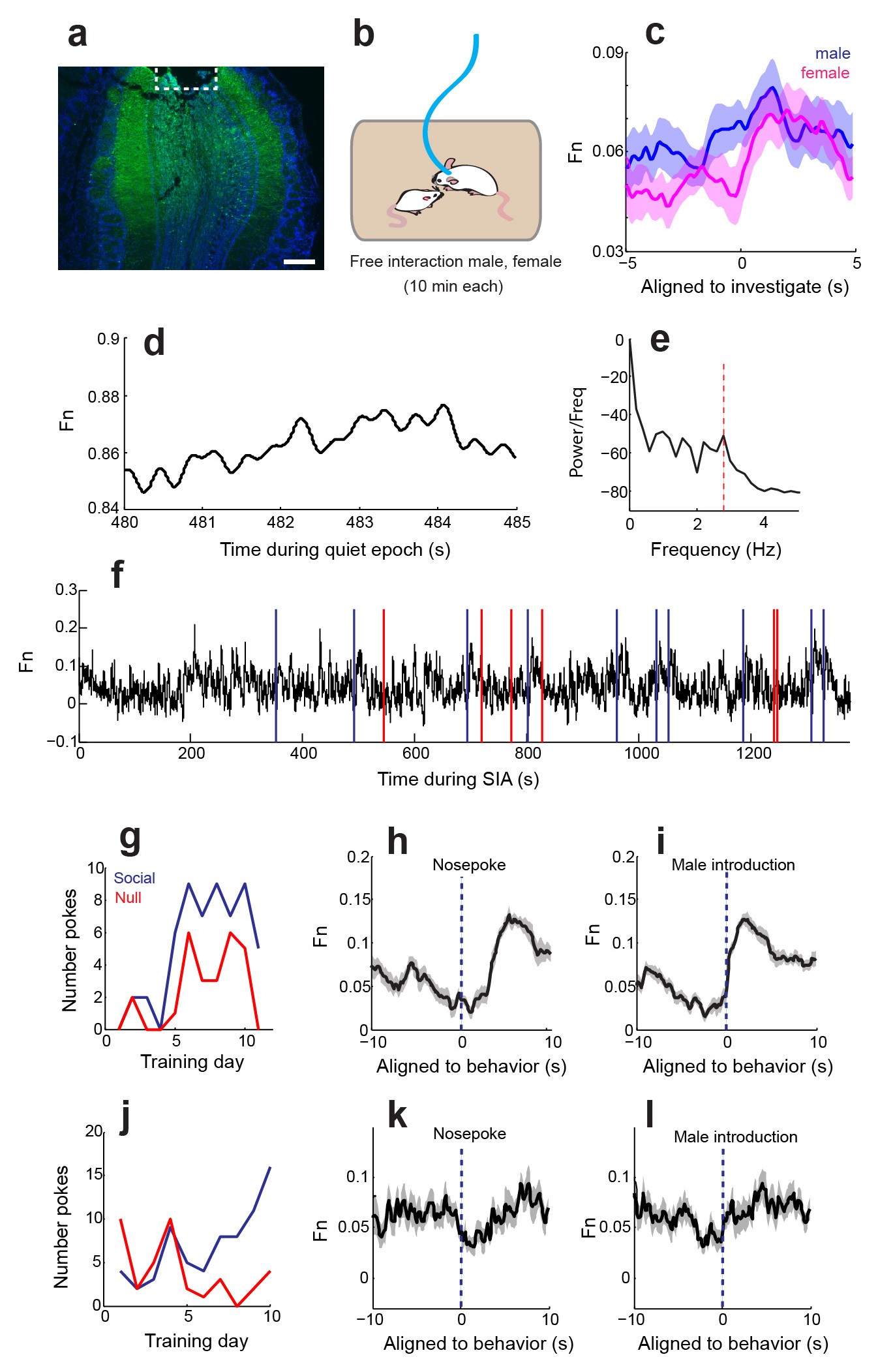 Supplementary Figure 4