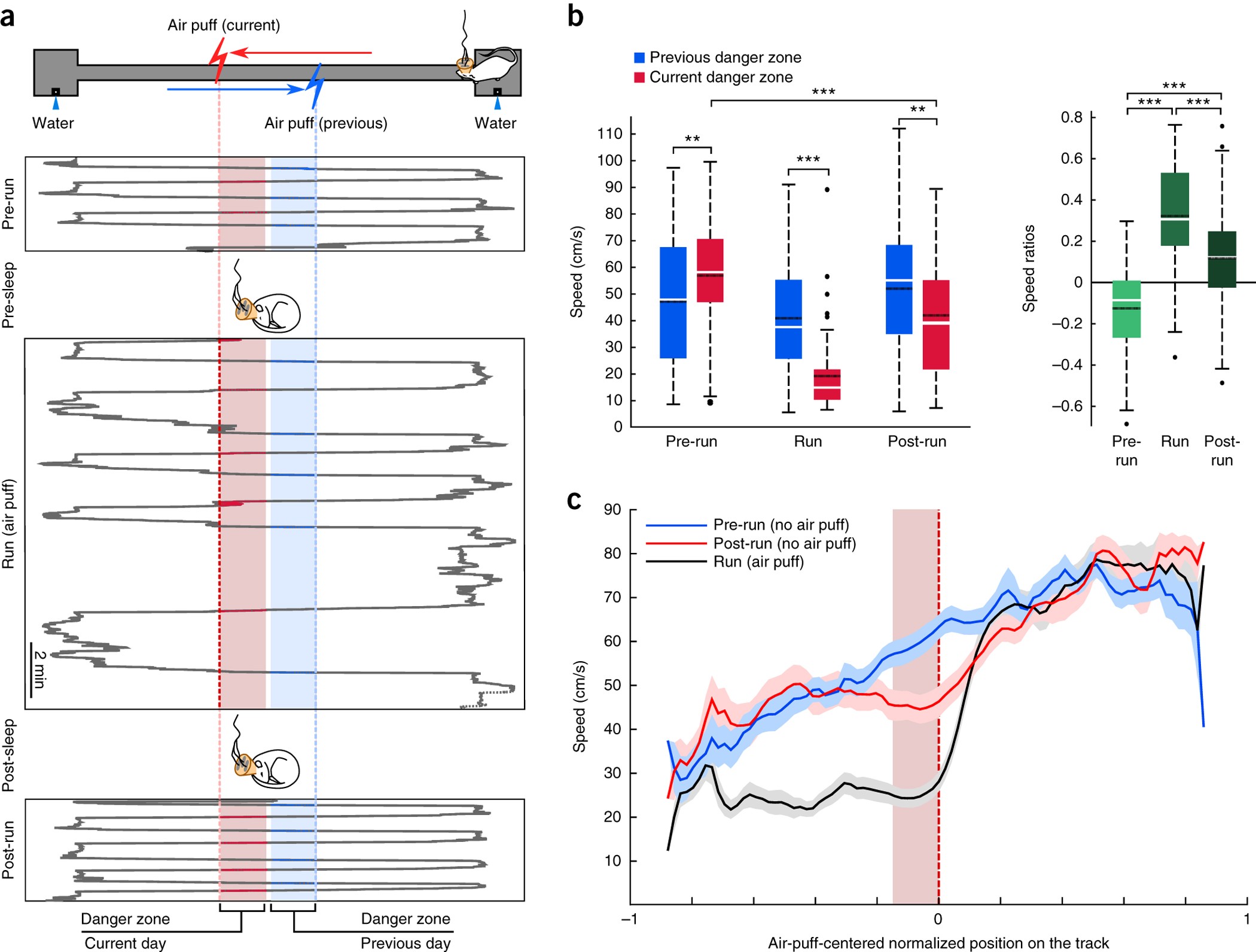 Aversive memory formation in humans involves an amygdala-hippocampus phase  code