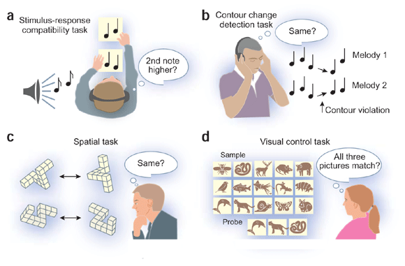 The highs and lows of being tone deaf | Nature Neuroscience