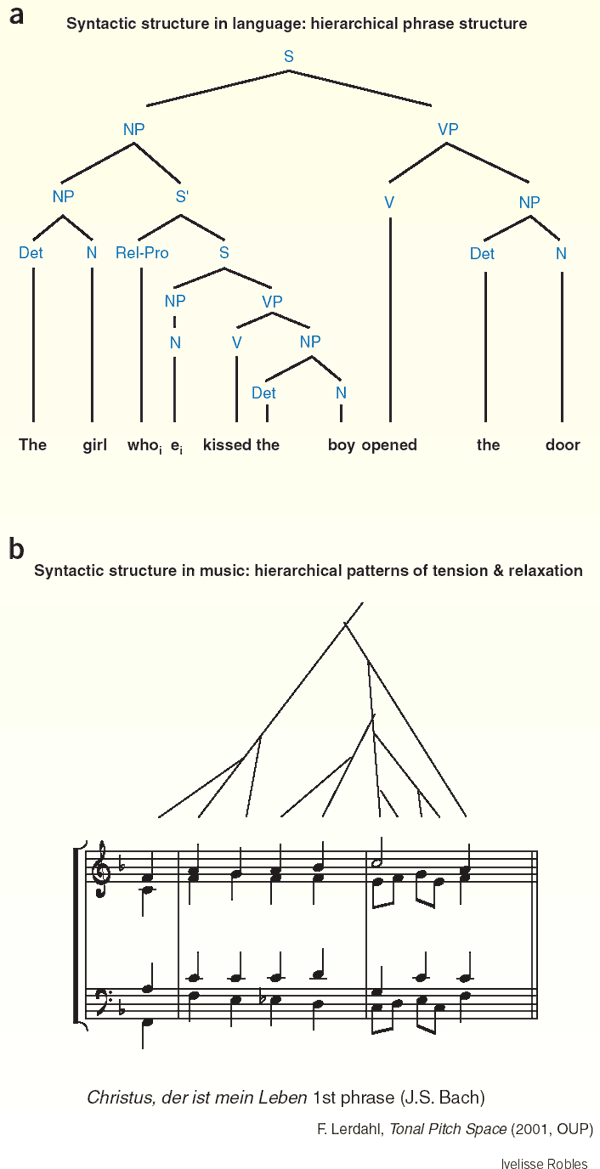 Language, music, syntax and the brain | Nature Neuroscience