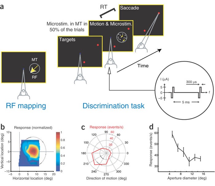 カーペンター ＤＪ １２０ Ｚ ４/０ Ｋ－５/０ カーペンター 舞姫 120 カーペンター舞姫120 カーペンター 舞姫