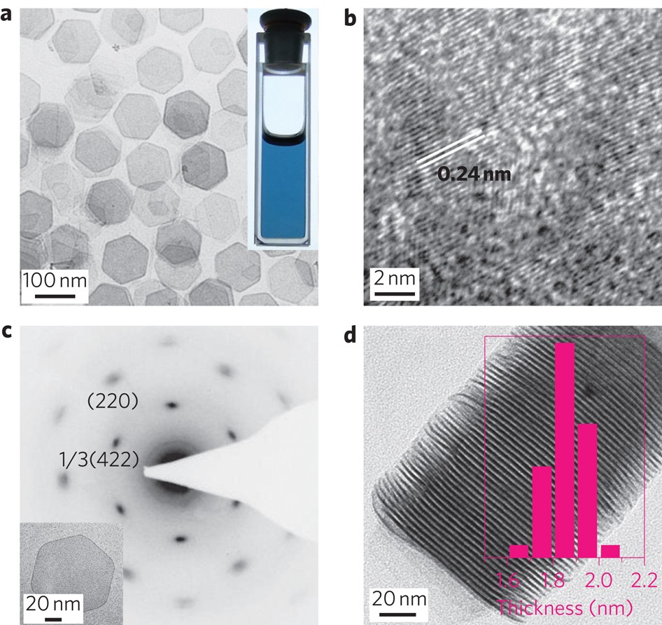 Freestanding palladium nanosheets with plasmonic and catalytic properties |  Nature Nanotechnology