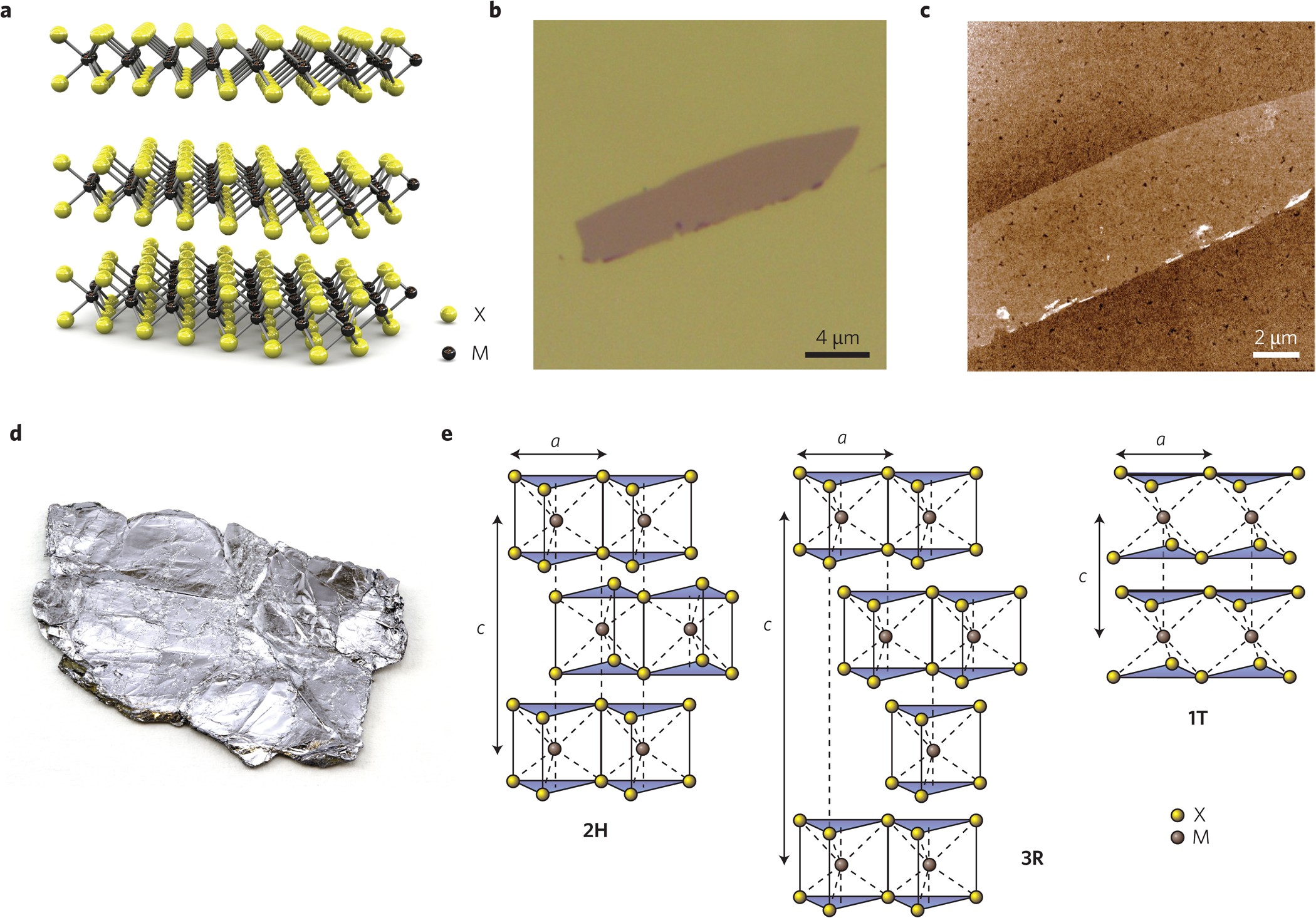 Optoelectronic Artificial Synapses Based on Two-Dimensional  Transitional-Metal Trichalcogenide