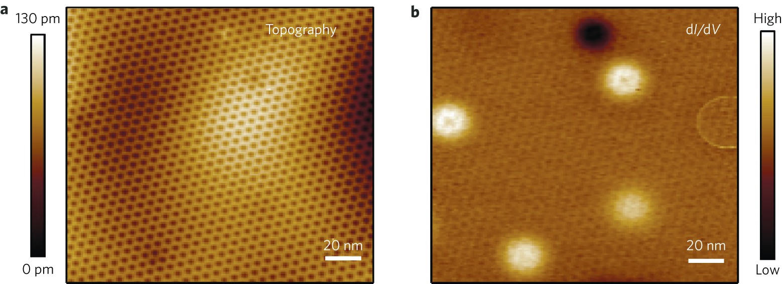 deelnemer rok Groene achtergrond Characterization and manipulation of individual defects in insulating hexagonal boron nitride using scanning tunnelling microscopy | Nature Nanotechnology deelnemer rok Groene achtergrond Characterization and manipulation of individual defects in insulating hexagonal boron nitride using scanning tunnelling microscopy | Nature Nanotechnology