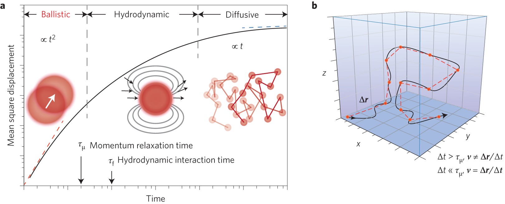 Resonances arising from hydrodynamic memory in Brownian motion