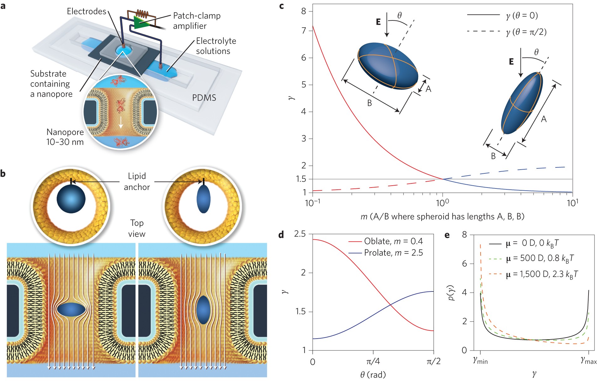 Real Time Shape Approximation And Fingerprinting Of Single Proteins Using A Nanopore Nature Nanotechnology