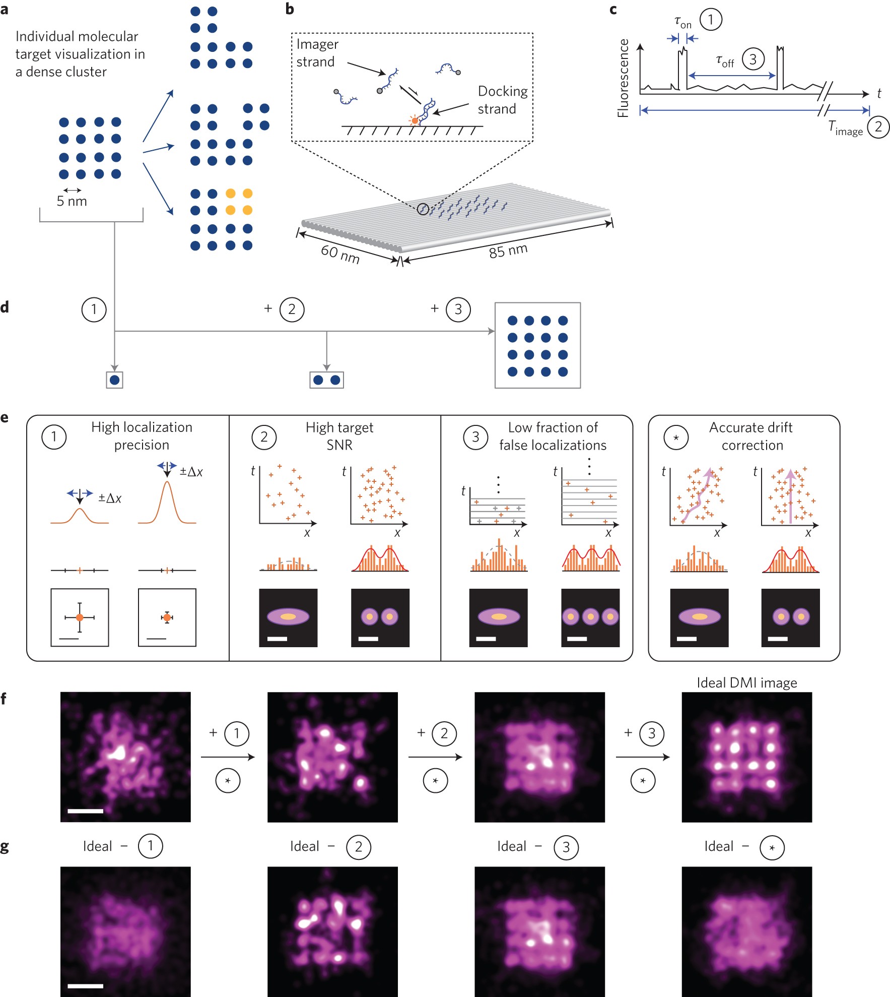 Optical Imaging Of Individual Biomolecules In Densely Packed