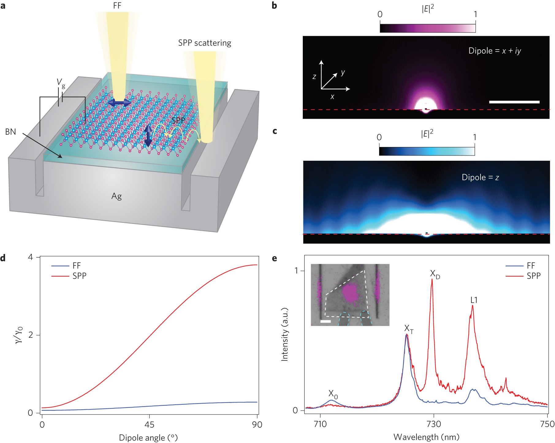 Probing Dark Excitons In Atomically Thin Semiconductors Via Near Field Coupling To Surface Plasmon Polaritons Nature Nanotechnology