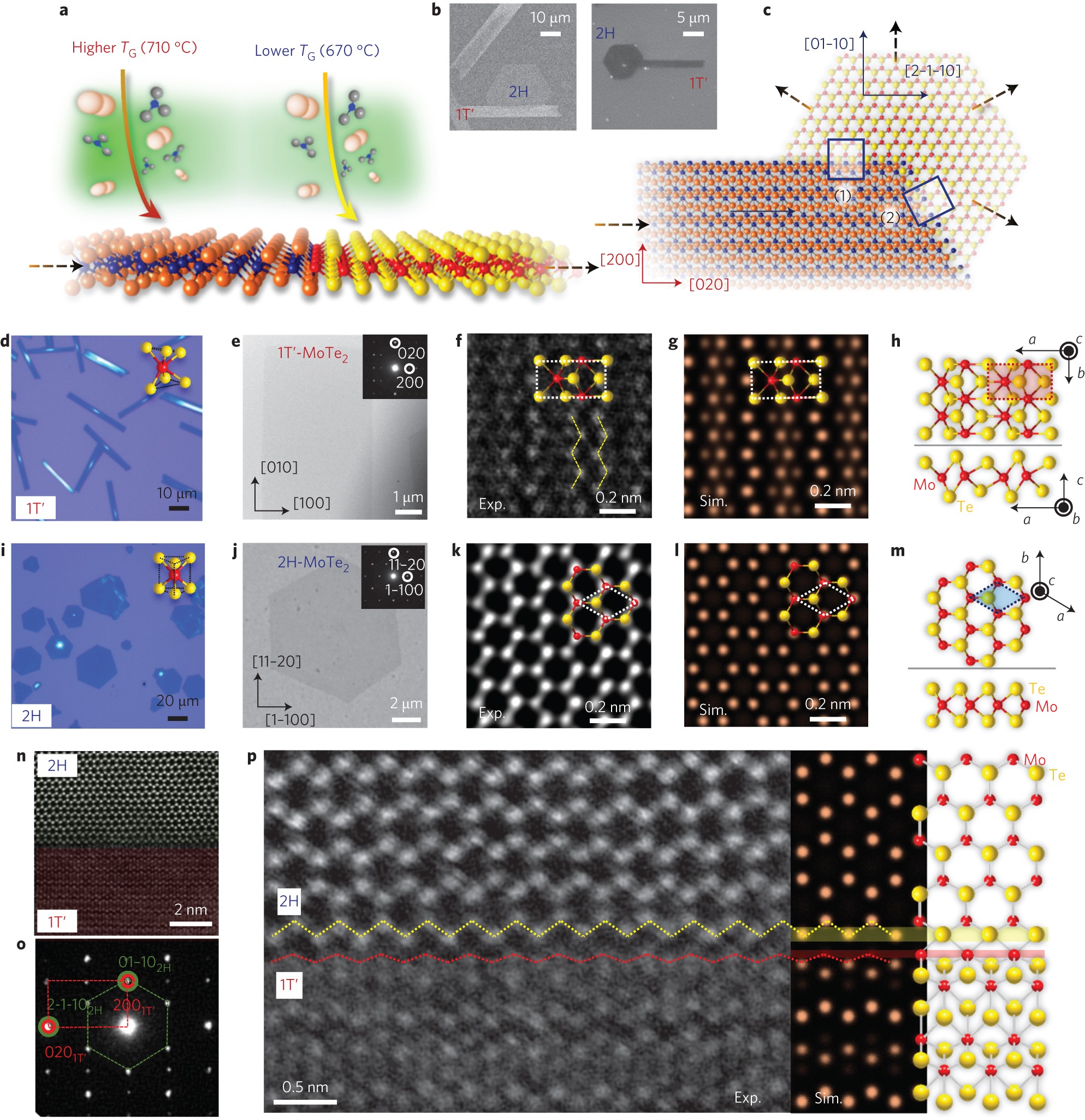 Coplanar semiconductor–metal circuitry defined on few-layer MoTe2 via  polymorphic heteroepitaxy | Nature Nanotechnology