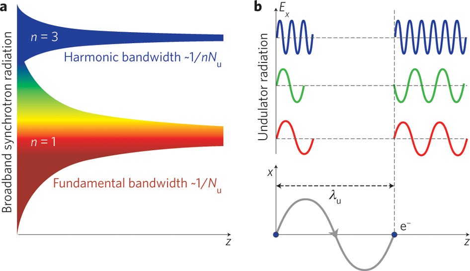 Nonlinear Harmonics in the High-Gain Harmonic Generation (HGHG) Experiment.  - UNT Digital Library