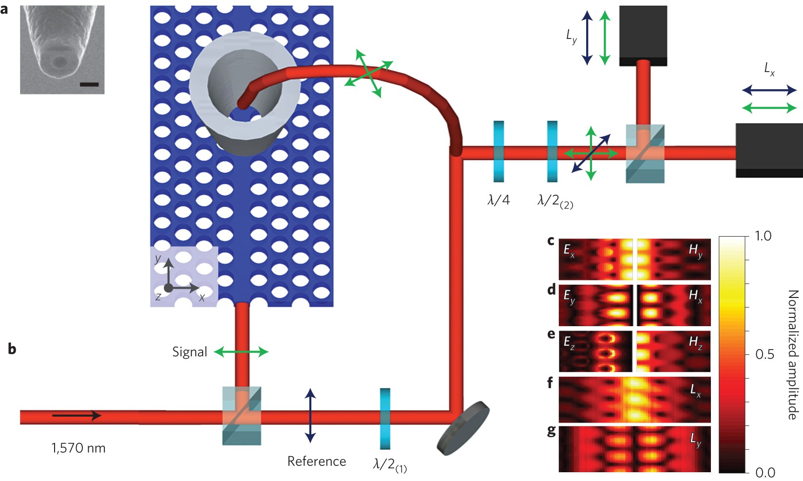 Simultaneous measurement of nanoscale electric and magnetic optical fields  | Nature Photonics