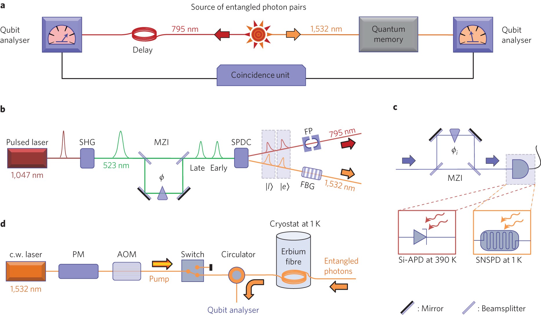 Quantum storage of entangled telecom-wavelength photons in an erbium-doped  optical fibre | Nature Photonics