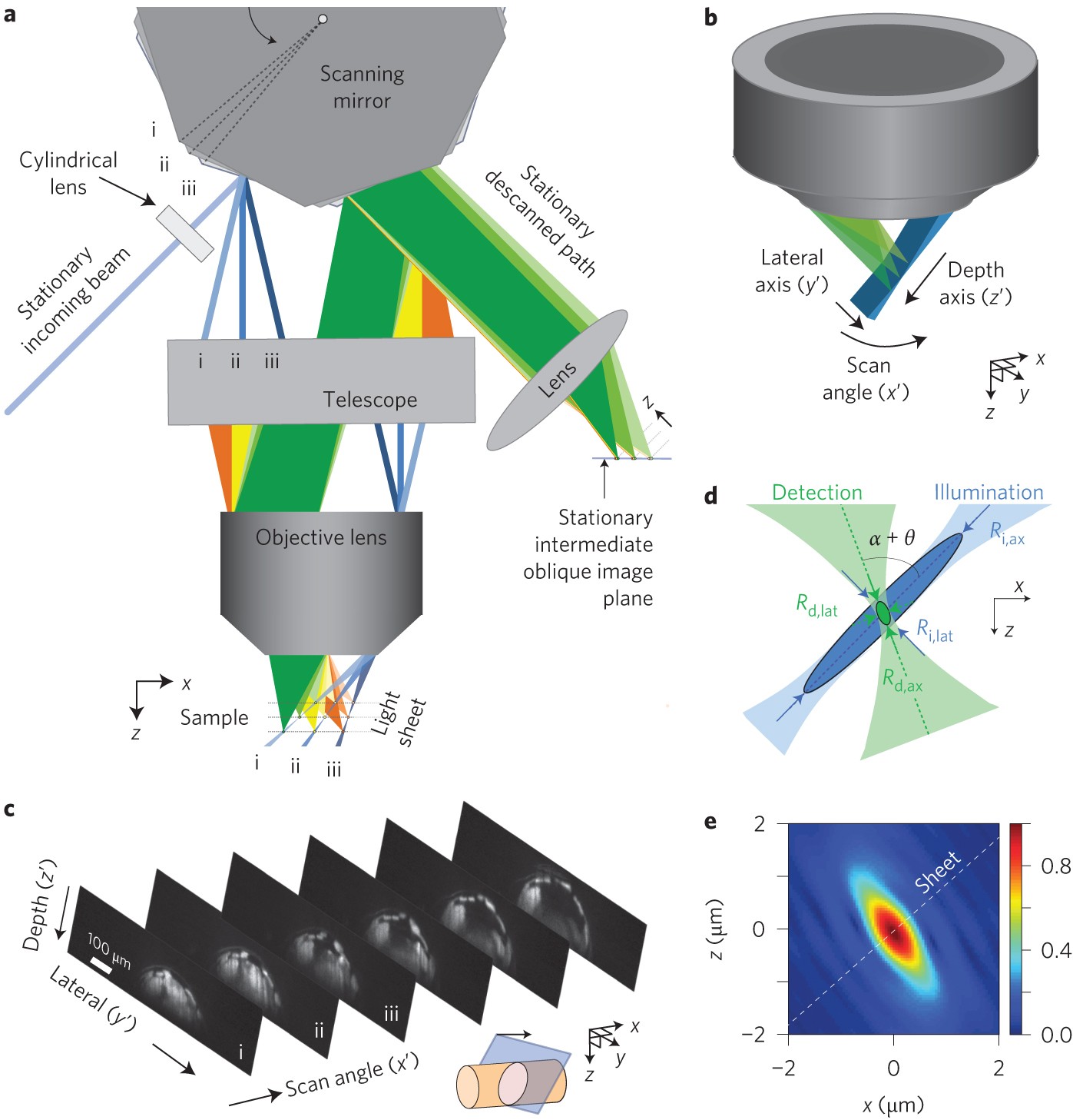 Swept confocally-aligned planar excitation (SCAPE) microscopy for  high-speed volumetric imaging of behaving organisms | Nature Photonics